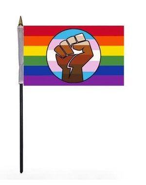 RAINBOW BLM TLM LGBTQ+ PARADE FLAG 4"x6"