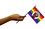 RAINBOW BLM TLM LGBTQ+ PARADE FLAG 4"x6"