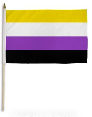 RAINBOW NON-BINARY PARADE FLAG 12" X 18"