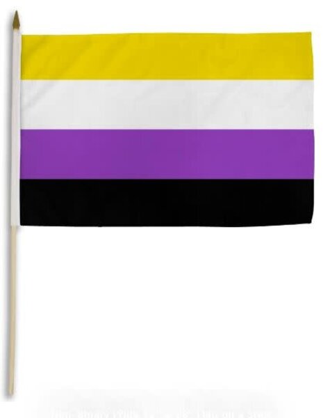 RAINBOW NON-BINARY PARADE FLAG 12" X 18"