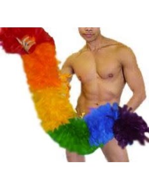 RAINBOW RAINBOW SECTIONED PLUSH BOA