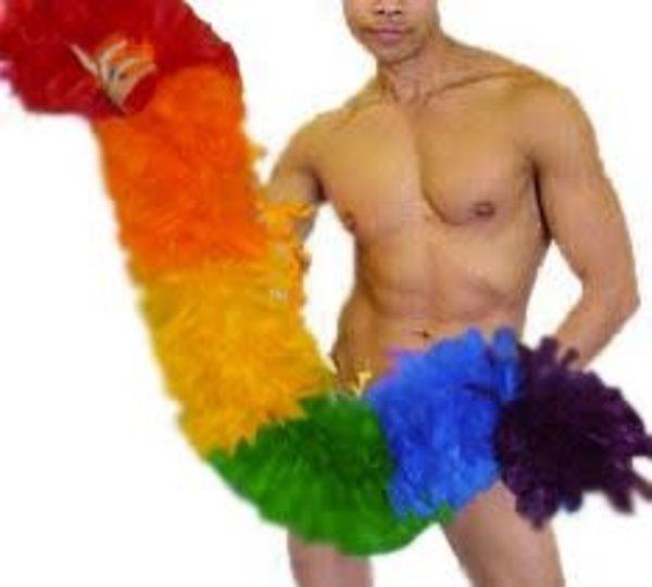 RAINBOW RAINBOW SECTIONED PLUSH BOA