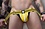 BREEDWELL BREEDWELL NSA JOCK YELLOW