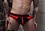 BREEDWELL BREEDWELL BRUT BRIEF RED