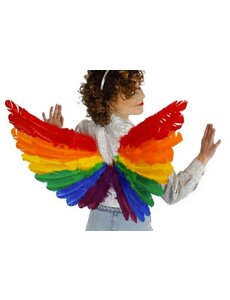 ZUCKER ZUCKER RAINBOW FEATHER WINGS 28X18"