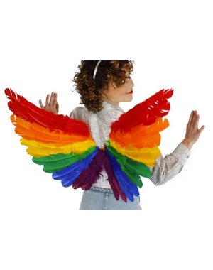 ZUCKER ZUCKER RAINBOW FEATHER WINGS 28X18"