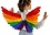ZUCKER ZUCKER RAINBOW FEATHER WINGS 28X18"
