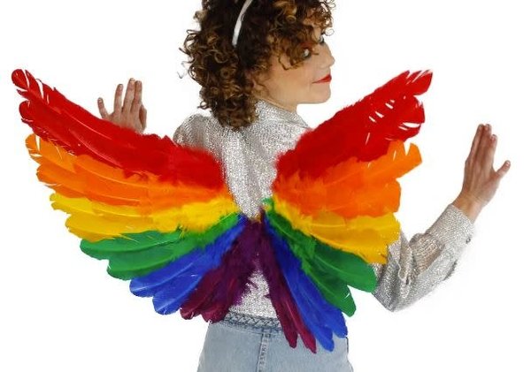 ZUCKER ZUCKER RAINBOW FEATHER WINGS 28X18"