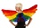 ZUCKER ZUCKER RAINBOW FEATHER WINGS 28X18"
