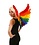 ZUCKER ZUCKER RAINBOW FEATHER WINGS 28X18"