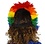 ZUCKER ZUCKER RAINBOW FEATHER SEQUIN HEADDRESS WITH GOLD SEQUINS