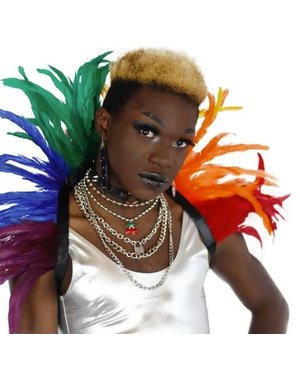 ZUCKER ZUCKER CARNIVAL RAINBOW FEATHER COLLAR