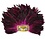ZUCKER ZUCKER FEATHER HEADDRESS & REMOVABLE MASK SHOCKING PINK