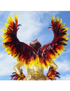 ZUCKER ZUCKER PHOENIX FIREBIRD FEATHER WINGS