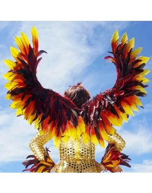 ZUCKER ZUCKER PHOENIX FIREBIRD FEATHER WINGS