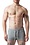 NASTY PIG NASTY PIG CHILL OUT TRUNK SHORT LIGHT HEATHER GREY