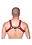 Prowler PROWLER RED BULL HARNESS