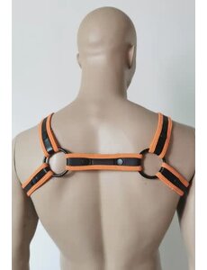 EVEREST TRADING COMPANY LLC PIPING NEOPRENE BULLDOG HARNESS ORANGE