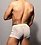 ANDREW CHRISTIAN ANDREW CHRISTIAN UNLEASHED NUDE MESH SHORTS