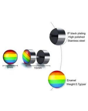  STAINLESS STEEL RAINBOW STUD EARRING