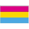 Type : PANSEXUAL