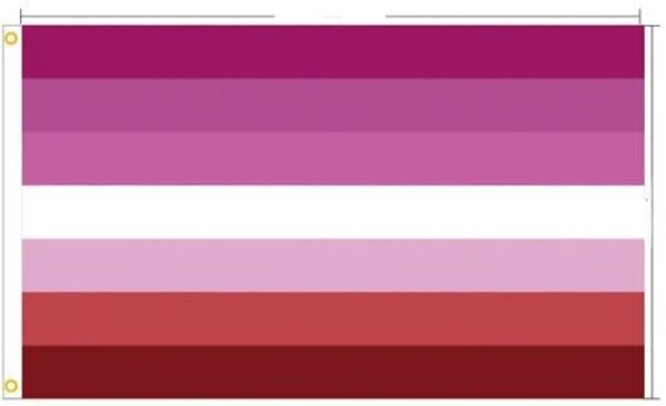 MINI PRIDE FLAGS 5.5" X 8.25"