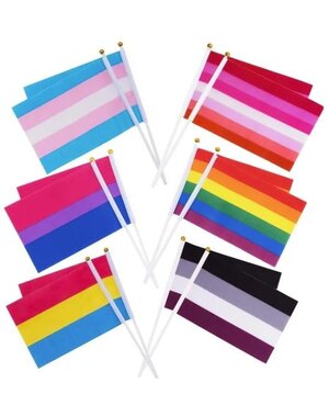  MINI PRIDE FLAGS 5.5" X 8.25"