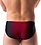 NASTY PIG NASTY PIG VERGE BIKINI