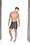 GIGO UNDERWEAR GIGO CLASSIC FOREVER BLACK SHORTS