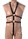 Hott Products STRICT MALE FULL BODY HARNESS