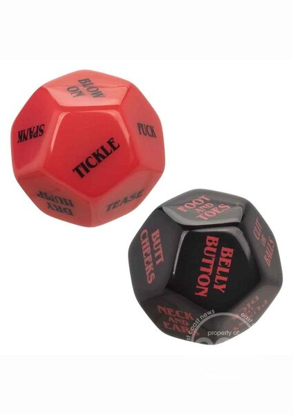 CalExotics NAUGHTY BITS ROL PLAY NAUGHTY DICE SET