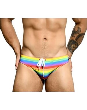 ANDREW CHRISTIAN ANDREW CHRISTIAN PRIDE STRIPE SWIM BIKINI XS