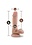 DR SKIN DR SKIN DR DANIEL SILICONE DILDO WITH BALLS & SUCTION CUP 6"