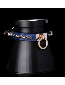 EVEREST TRADING COMPANY LLC EXOTIXC BLUE LIZZARDS PRINT COLLAR WITH GOLDEN HARDWARE