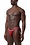 NASTY PIG NASTY PIG TITLE SPORT BRIEF RED