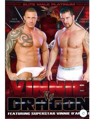  VINNIE VS DRAGON