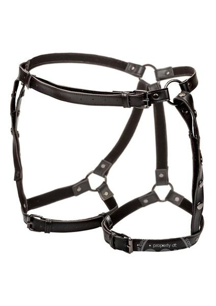 CalExotics Copy of EUPHORIA COLLECTION RIDING THIGH HARNESS