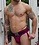 BREEDWELL BREEDWELL CUMDUMP JOCK BURGUNDY