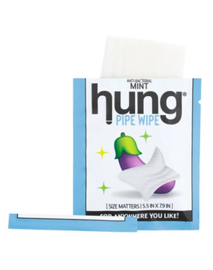 HUNG HUNG  ANTI-BACTERIAL PIPE WIPES MINT 16CT