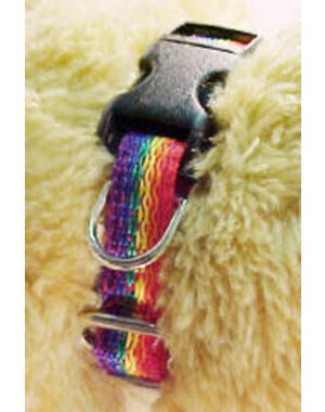 FETISH FANTASY RAINBOW NYLON PET COLLAR LG (19-29"Lx1"W)