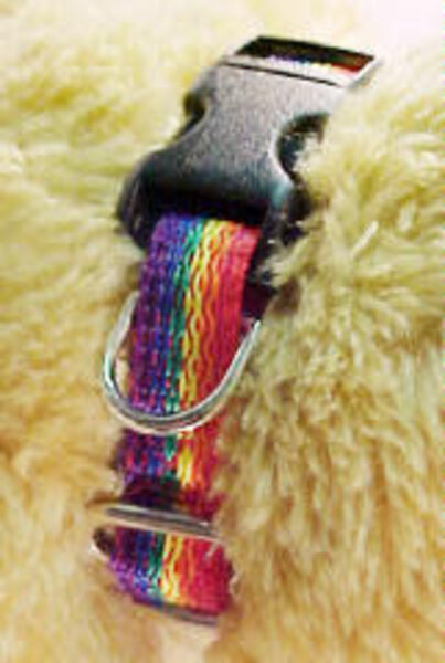 FETISH FANTASY RAINBOW NYLON PET COLLAR LG (19-29"Lx1"W)