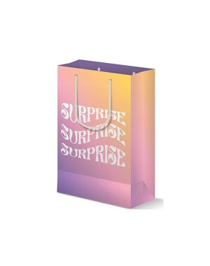  SURPRISE GIFT BAG