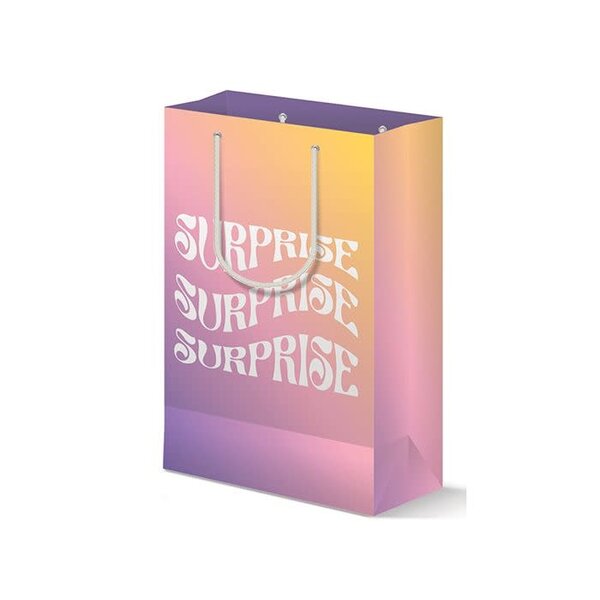 SURPRISE GIFT BAG