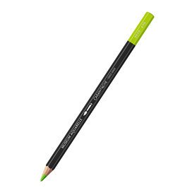 Caran d'Ache Caran D'Ache Museum Aquarelle Colored Pencils, Spring Green