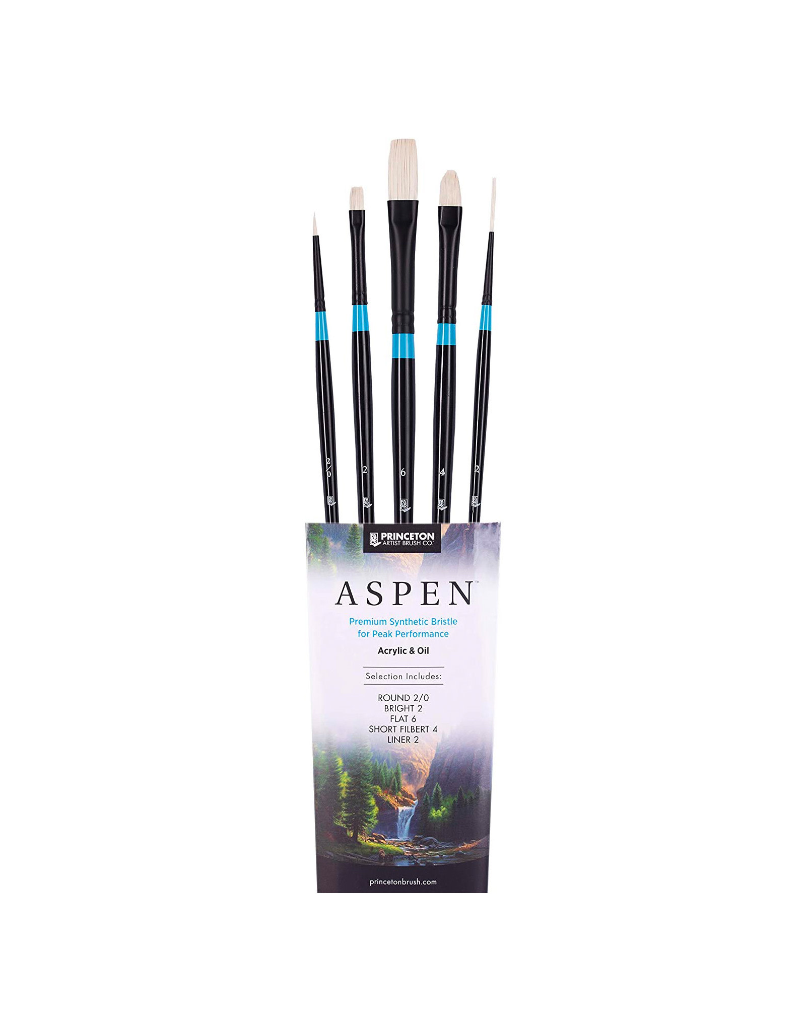 W.A. Portman Princeton Aspen 6500 Series 5pc Professional Paint Brushes for Acrylic Painting – Oil and Acrylic Paint Brushes Set – Round, Bright, Flat, Filbert & Liner