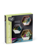 Ann Williams Craft Crush Mini Terrariums Kit