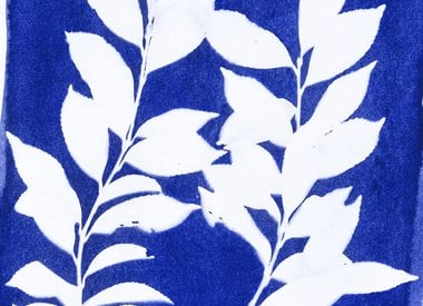 Cyanotype