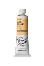 HOLBEIN Holbein DUO Aqua Oil Color, Jaune Brilliant 40ml HOLBEIN Holbein DUO Aqua Oil Color, Jaune Brilliant 40ml