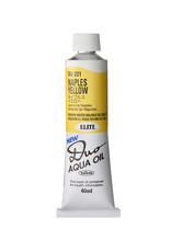 HOLBEIN Holbein DUO Aqua Oil Color, Naples Yellow 40ml