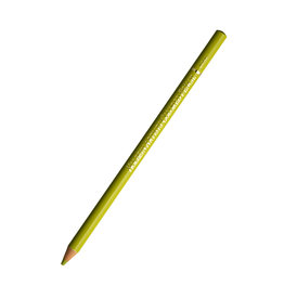 HOLBEIN Holbein Colored Pencil, Olive Yellow